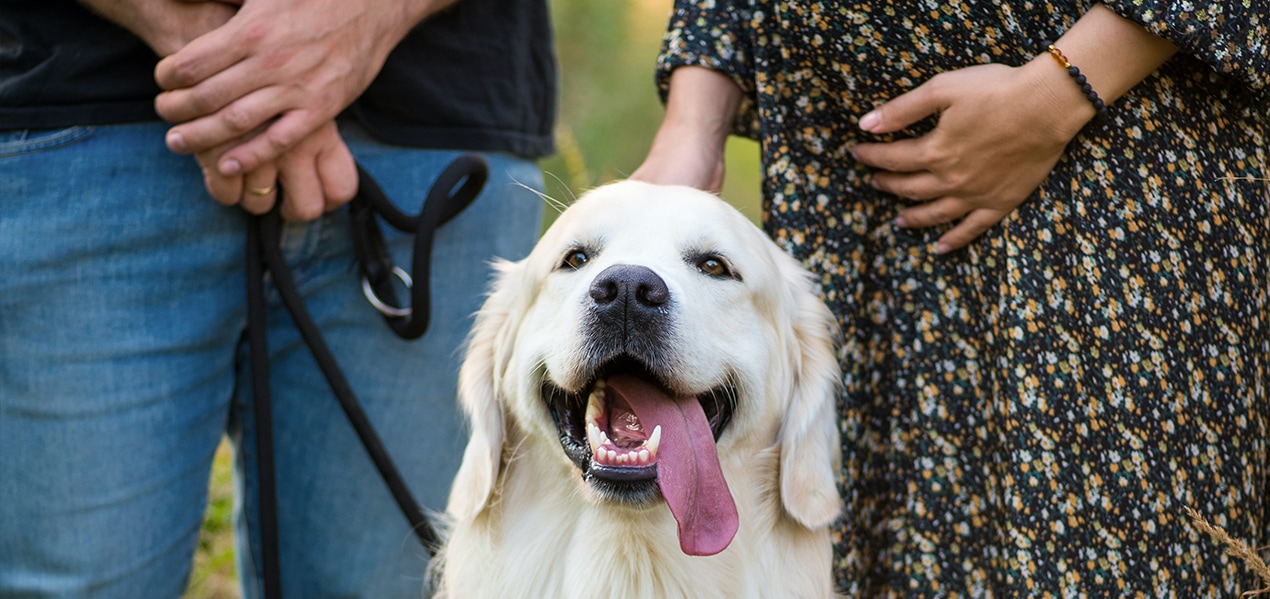 abgase bei my junior