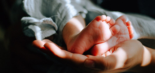 My Junior Kinderwagen Der Mutterpass